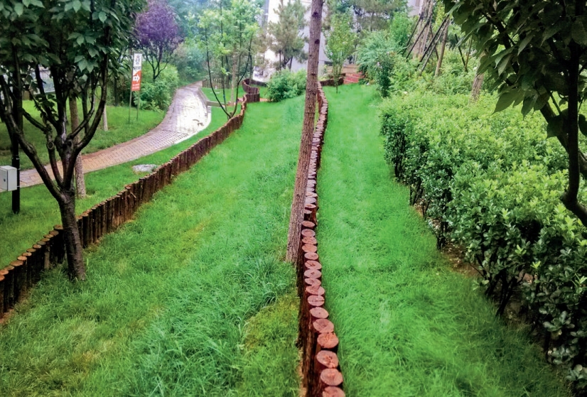 濟南市海綿城市 PPP 興濟河流域建筑小區(qū)改造工程設計